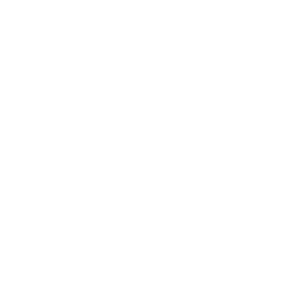 noun-united-states-of-america-78136-FFFFFF